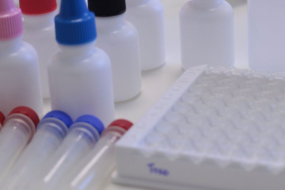 What is E. coli O157? FAQs: Symptoms, diagnosis, treatment, and prevention